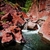 gorges-du-cians carr