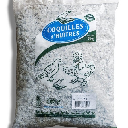 coquilles-d-huitres-basse-cour