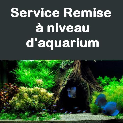Service entretien aquarium remise à niveau