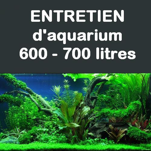 service-entretien-aquarium-600-a-700-litres