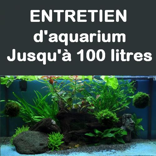 service-entretien-aquarium-60-l-80-l-100-litres