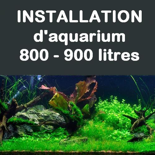 service-installation-aquarium-jusqu-a-900-litres