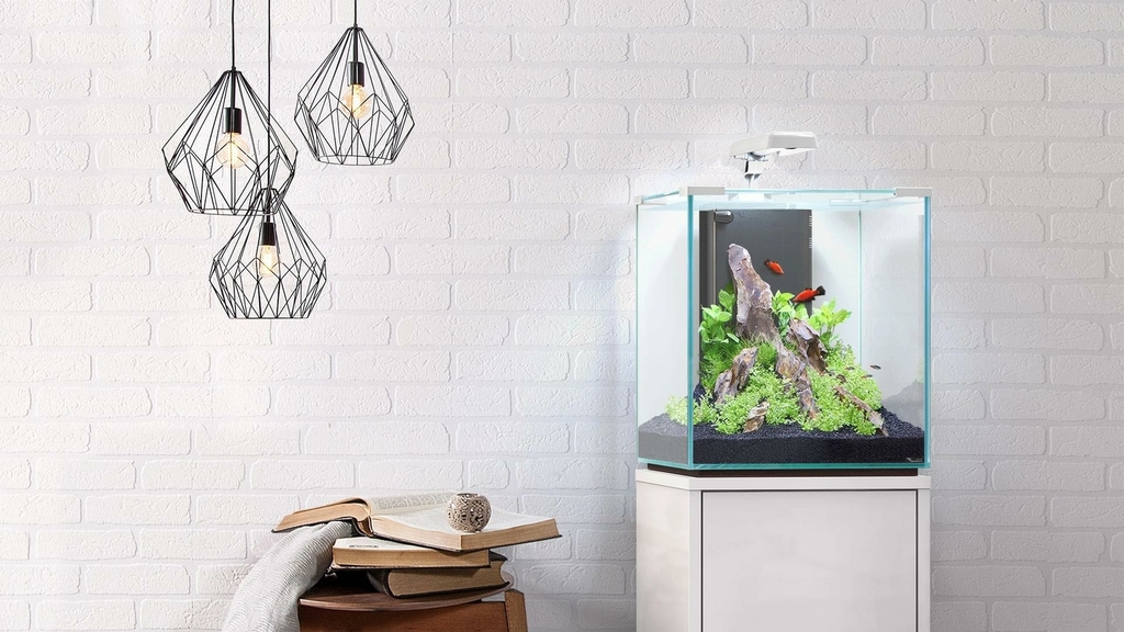 aquarium-nano-cubic-aquatlantis