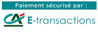 e-transaction