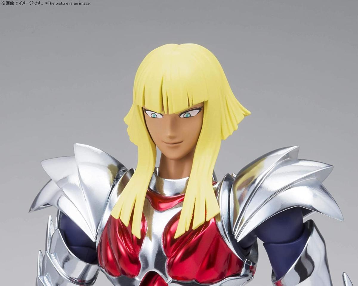 Figurine-Saint-Seiya-les-chevaliers-du-zodiaque-Myth-cloth-Ex-Hagen-Beta-8-z