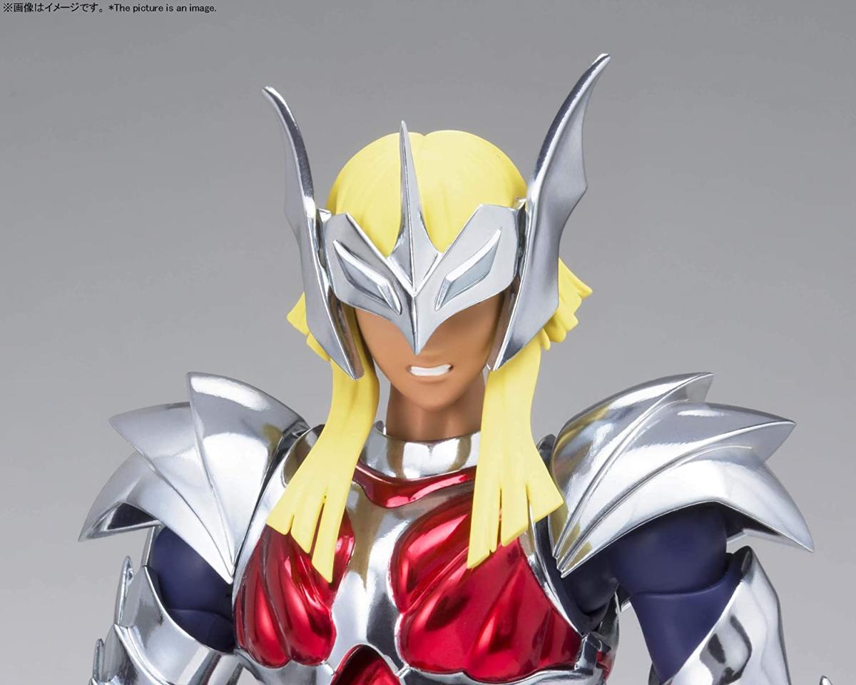 Figurine-Saint-Seiya-les-chevaliers-du-zodiaque-Myth-cloth-Ex-Hagen-Beta-12-