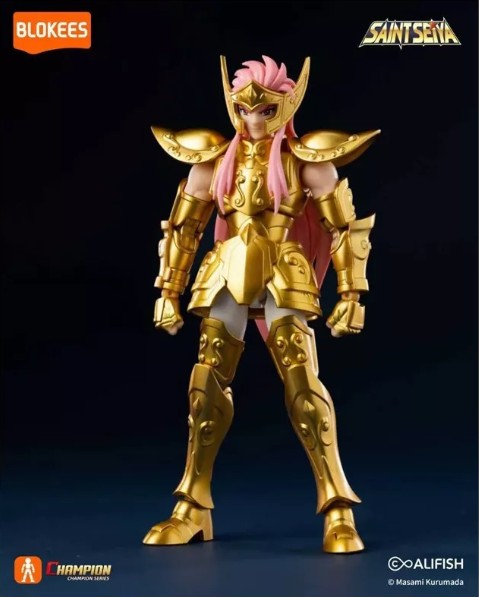 saint-seiya-maquette-verseau-camus-champion-class-blokees (2)