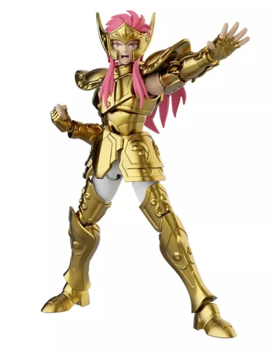 saint-seiya-maquette-verseau-camus-champion-class-blokees (4)