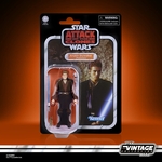 jouet Star Wars Anakin Skywalker 2