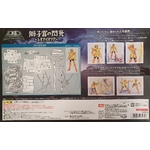 Bandai Tamashi nations DDD Panoramation Chevalier du Lion Aiolia 2