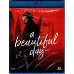 Film Thriller A beautiful day [Blu-Ray]