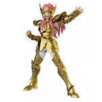 saint-seiya-maquette-verseau-camus-champion-class-blokees (4)