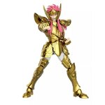 saint-seiya-maquette-verseau-camus-champion-class-blokees (6)