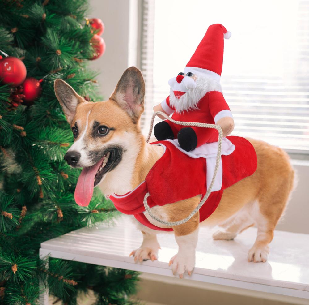 Vêtements de noël pour chiens | Costume pour équitation père-noël