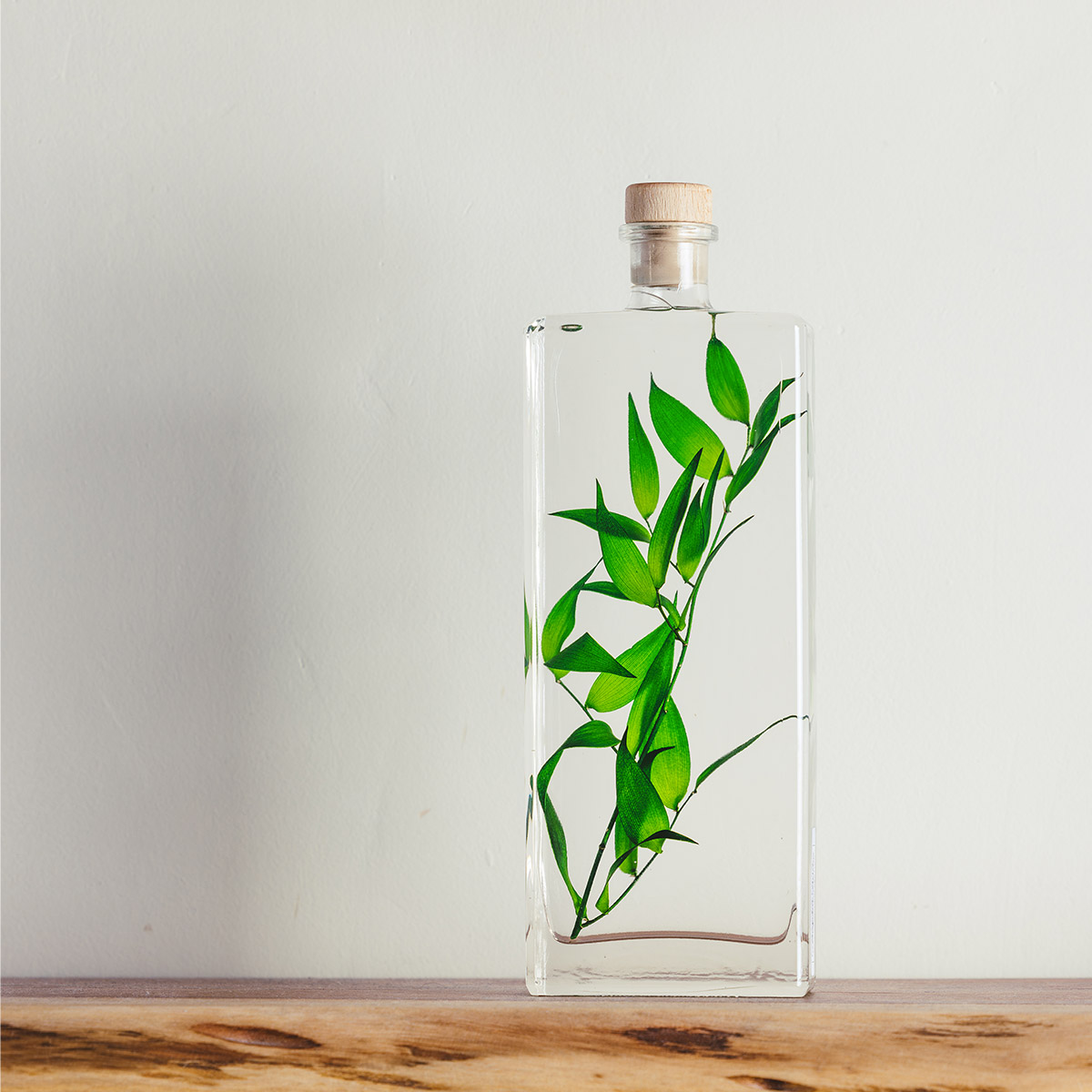 Herbarium Lepidium vert – Plante immergée