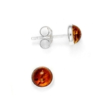 puce-oreille-ronde-ambre