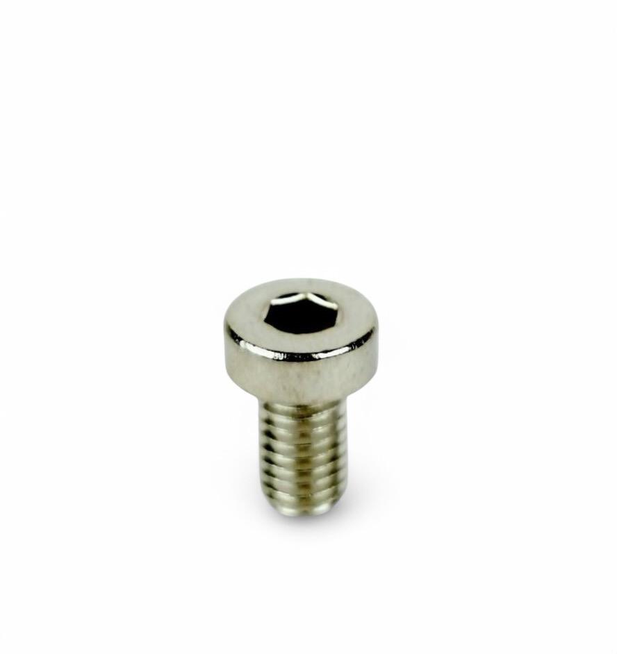 VIS M6X10 POUR ADAPTATEUR DE DISQUE ICE FAST