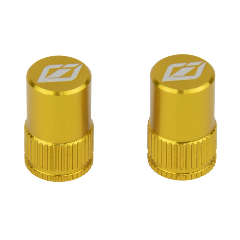 BOUCHON DE VALVE ALU INSIGHT (SCHRADER)