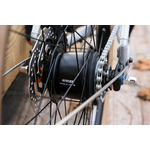 adv-jbd-20201218-04577