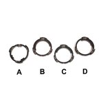 ZCoaster-LHD-Slack-Cam-Rings-copy