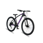 C100 2024 bike purple