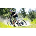 24_Lark2_action-19