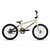 chase-edge-expert-xl (1)