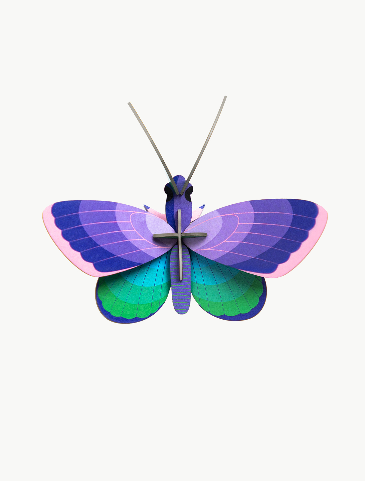 small-insects-blue-copper-butterfly-1