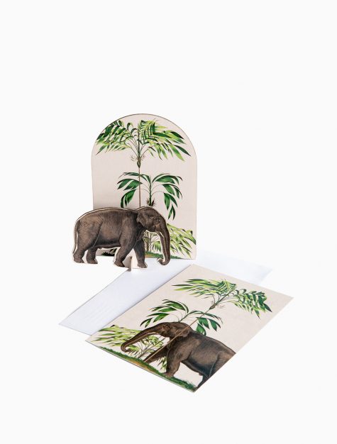 elephant-set-475x626