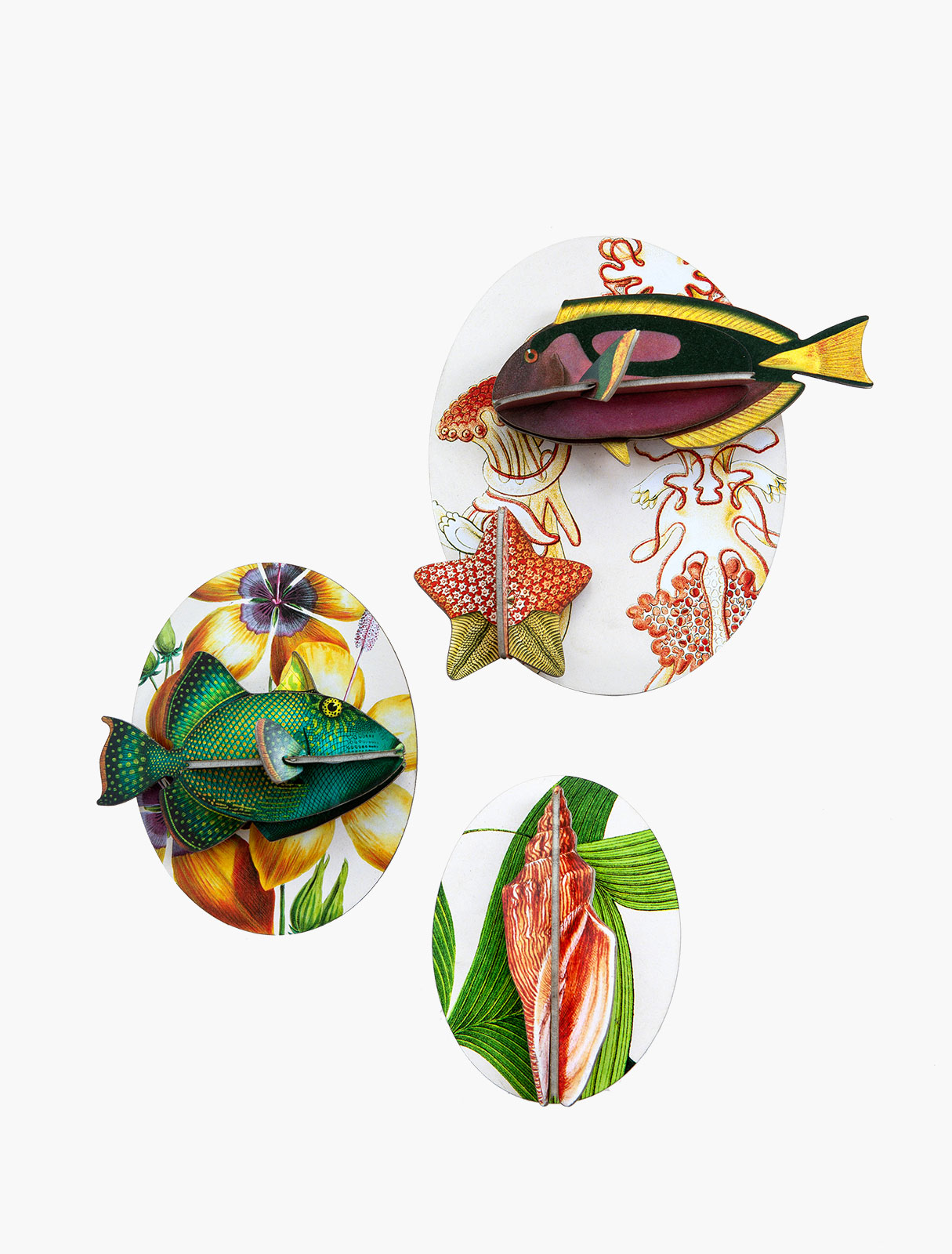 fishes