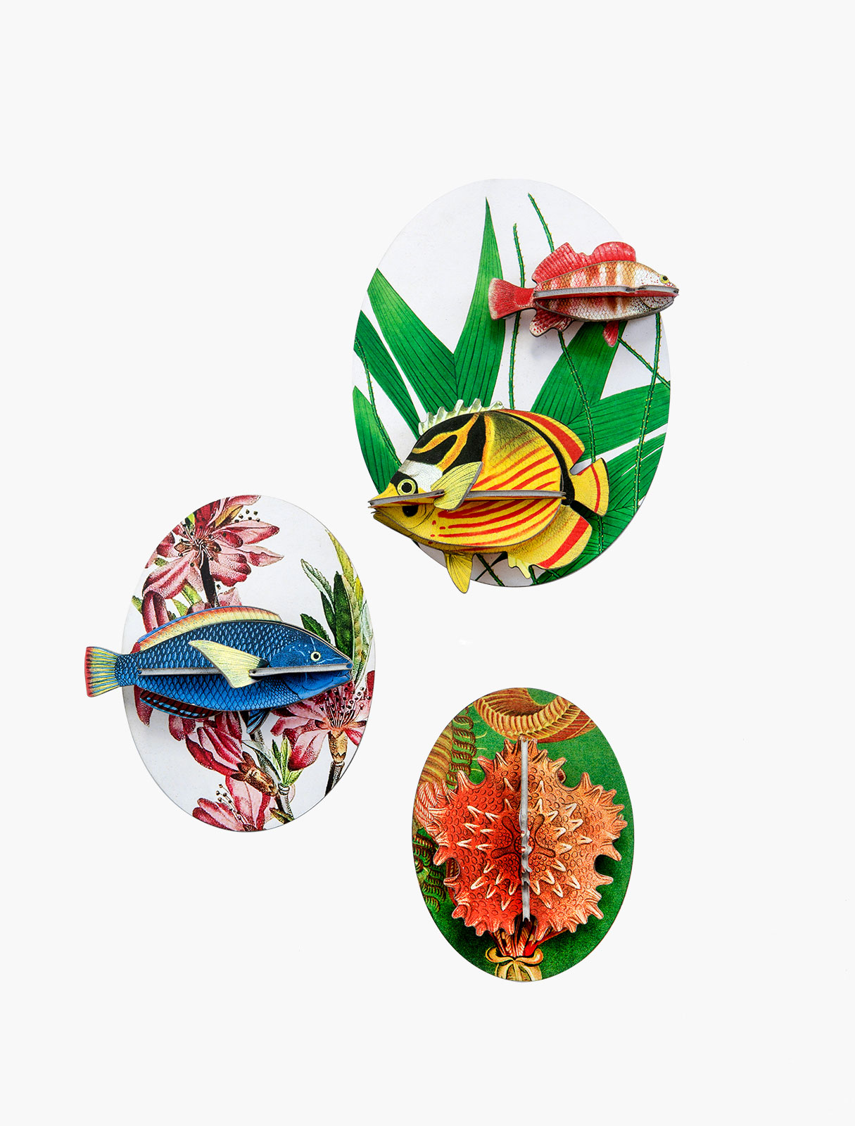 fish