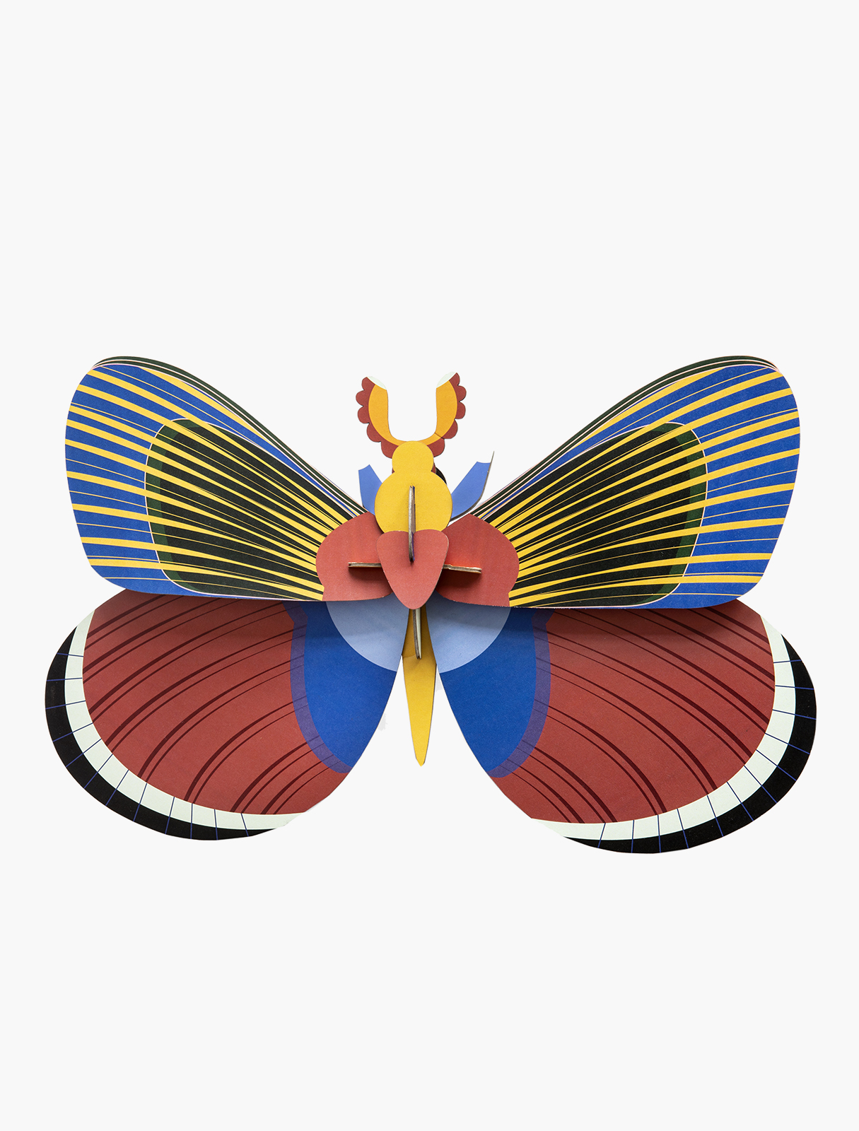 giant-butterfly
