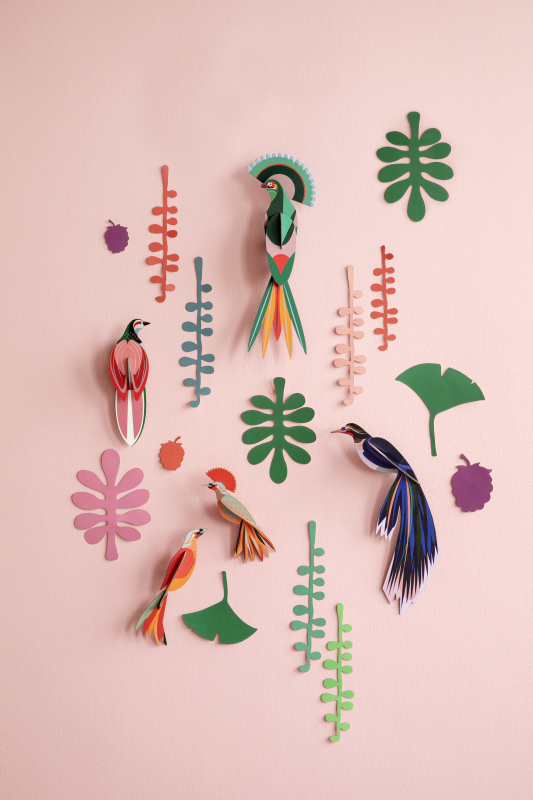 Mur de curiosités oiseaux et feuilles