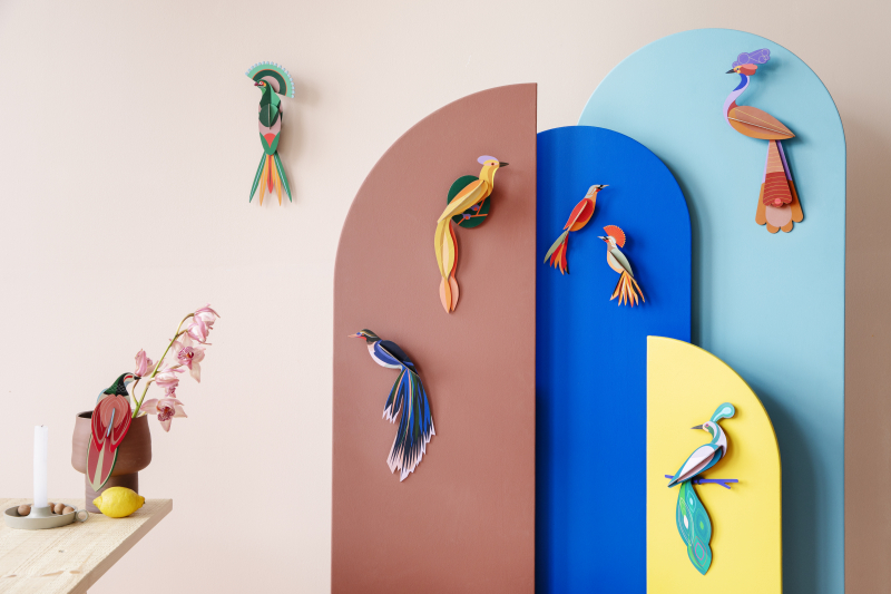 birds-oiseau-studioroof-decoration-murale_petit-d-homme-valenciennes