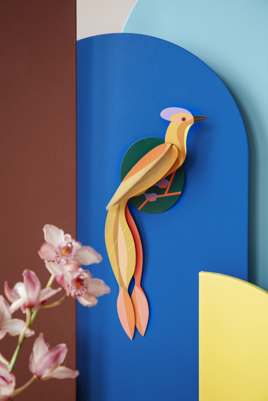 olango-birds-oiseau-studioroof-decoration-murale_petit-d-homme-valenciennes