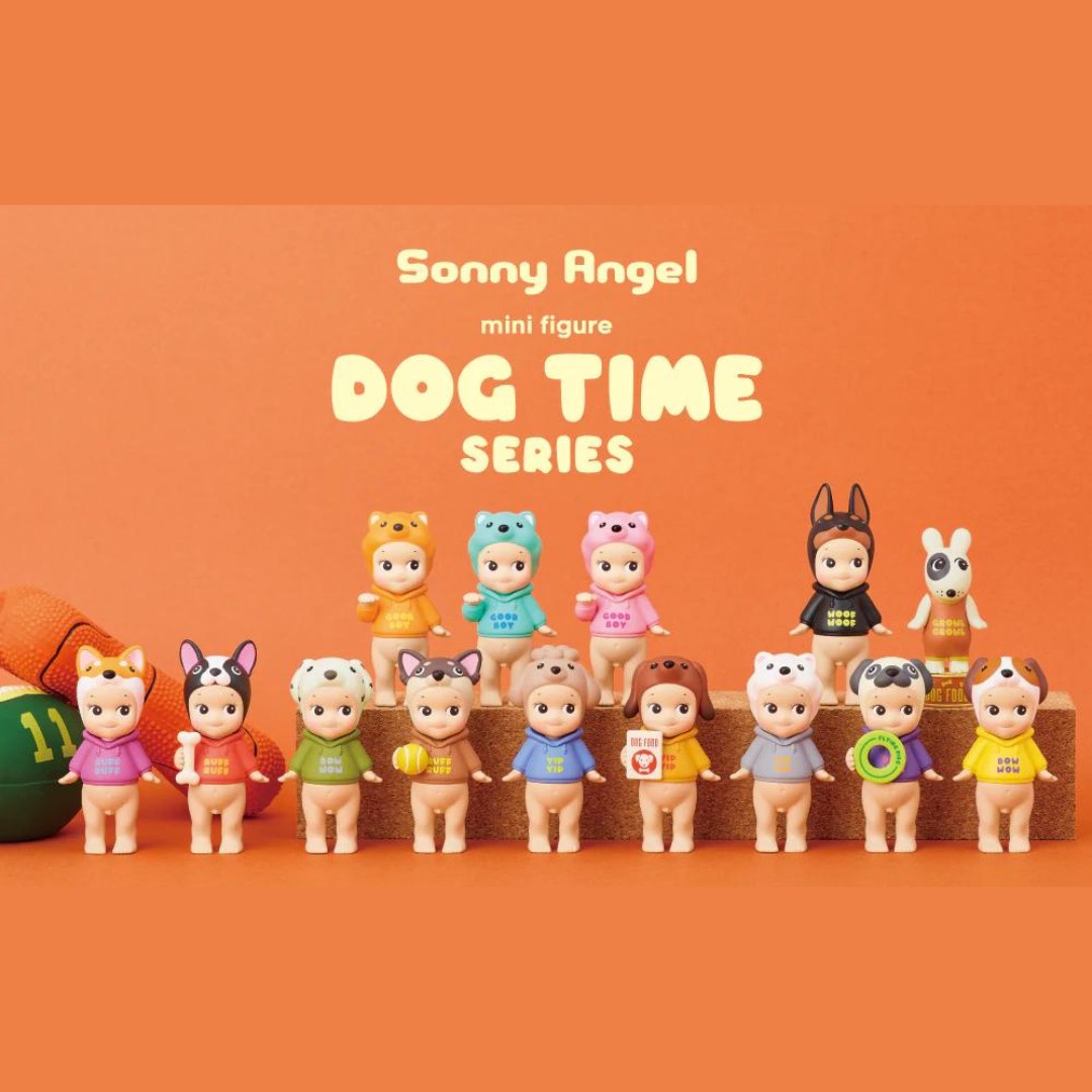 dog carré sonny angel valenciennes