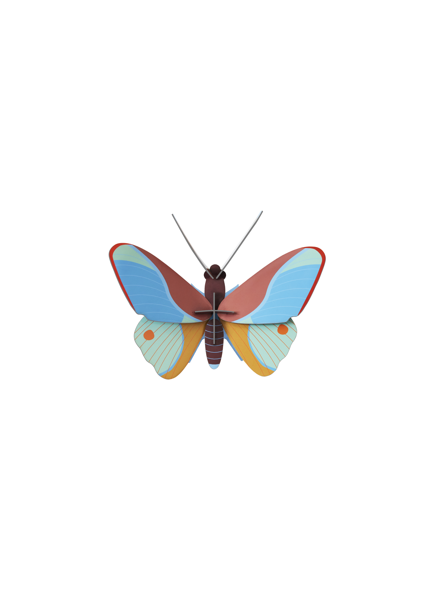 CLAUDINA-BUTTERFLY_PRODUCT-PICTUR