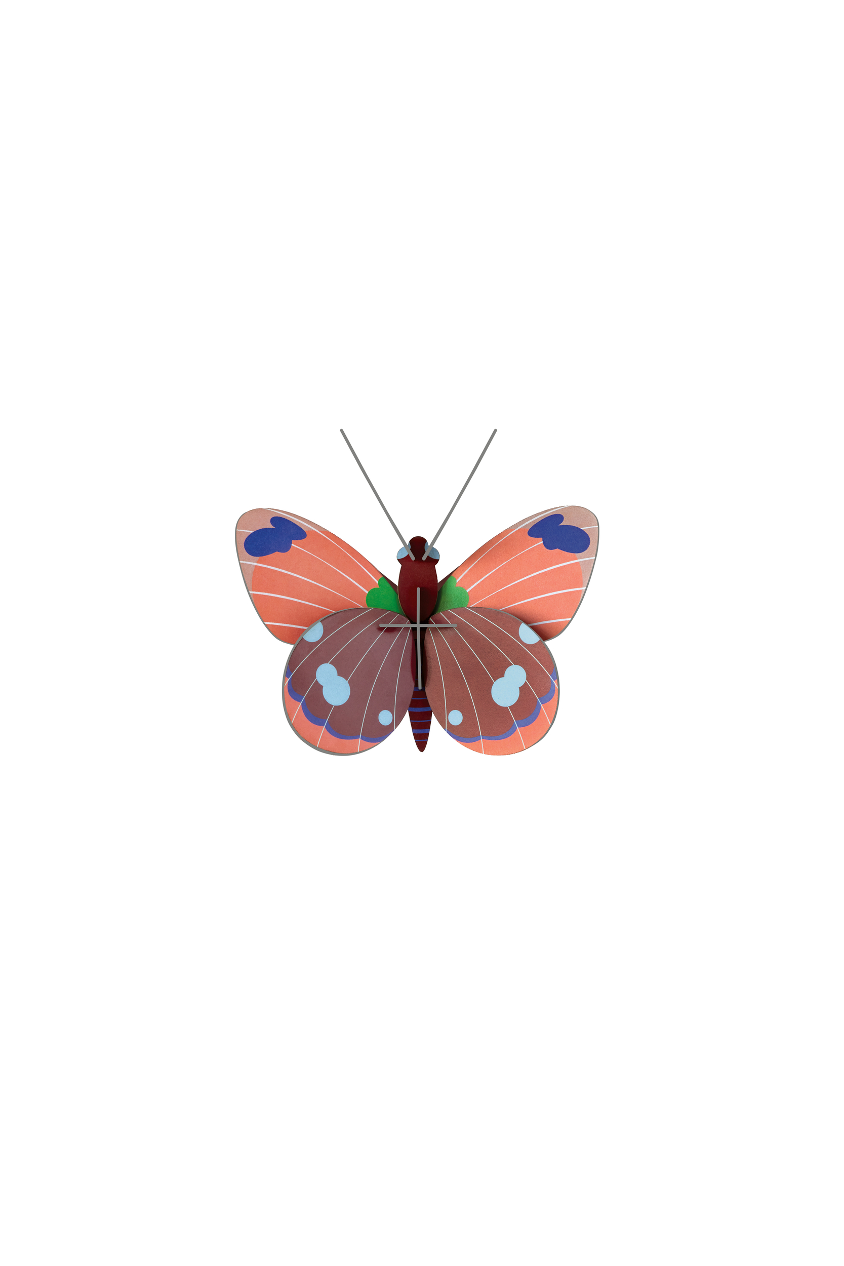 DELIAS-BUTTERFLY