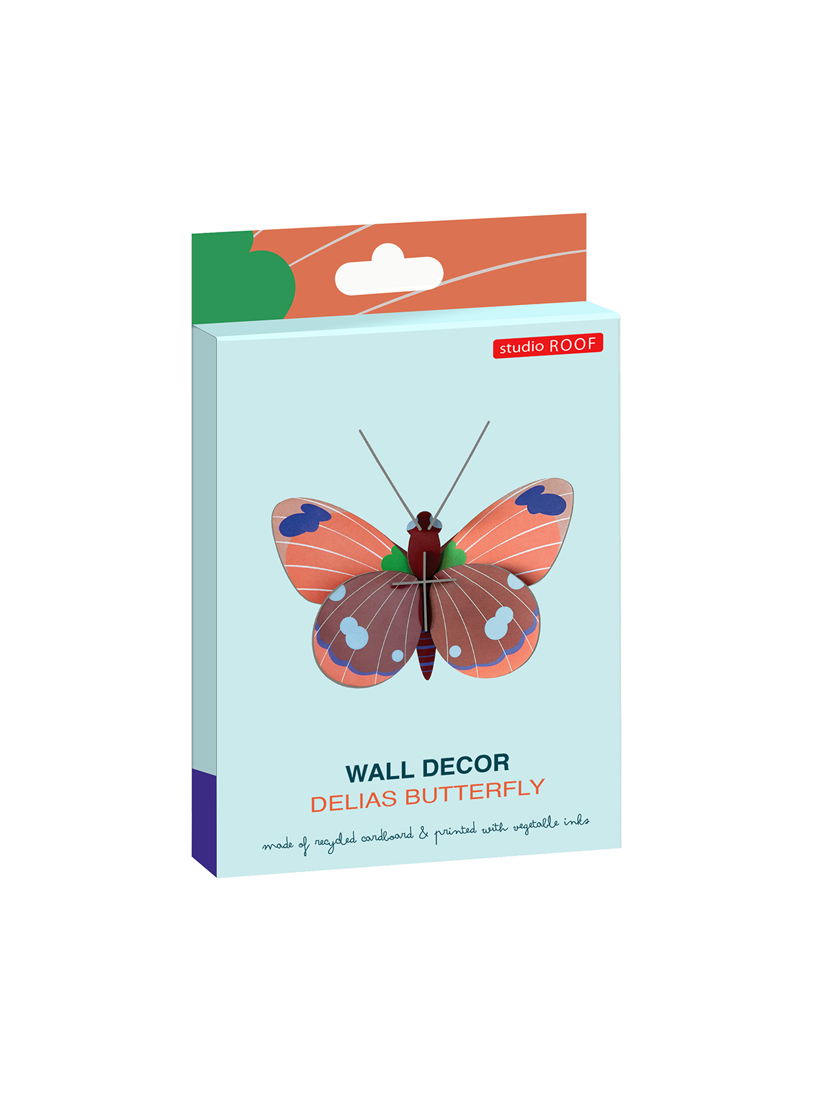 Delias-Butterfly-white-background