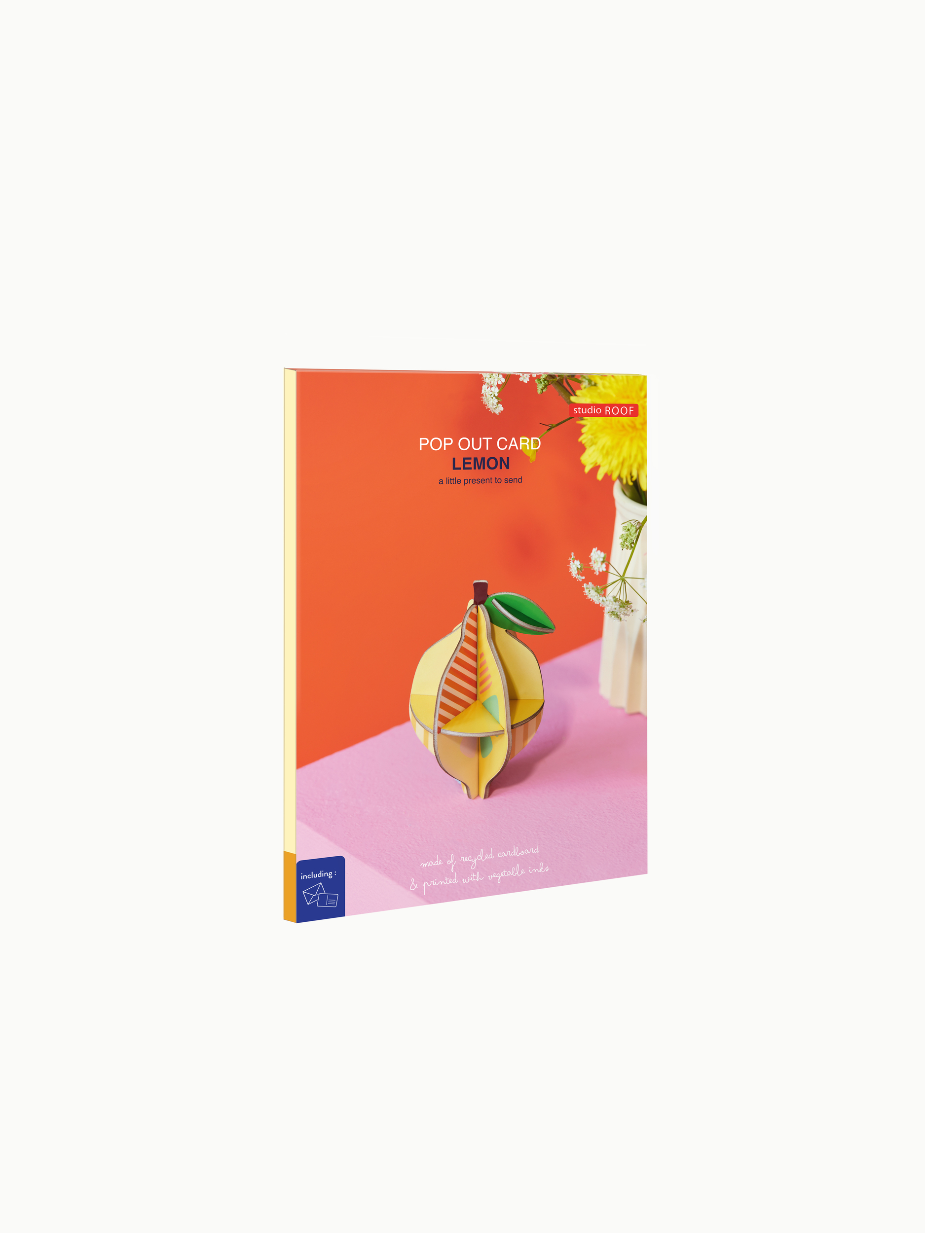 LEMON_A6-MOCKUP-PACKAGING