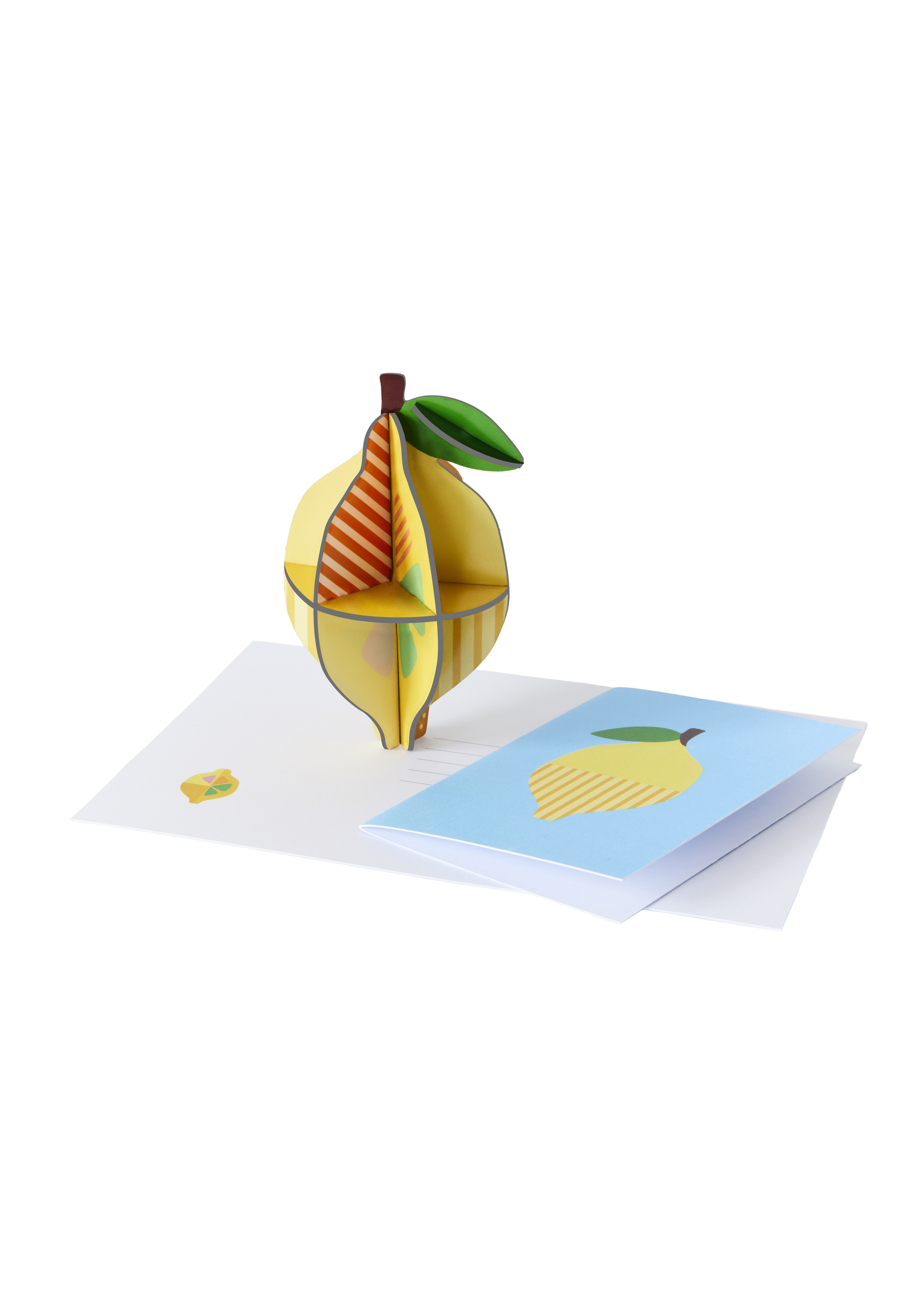 LEMON_PRODUCT-PICTURE-WITH-GREETING-CARD-ENVELOPE