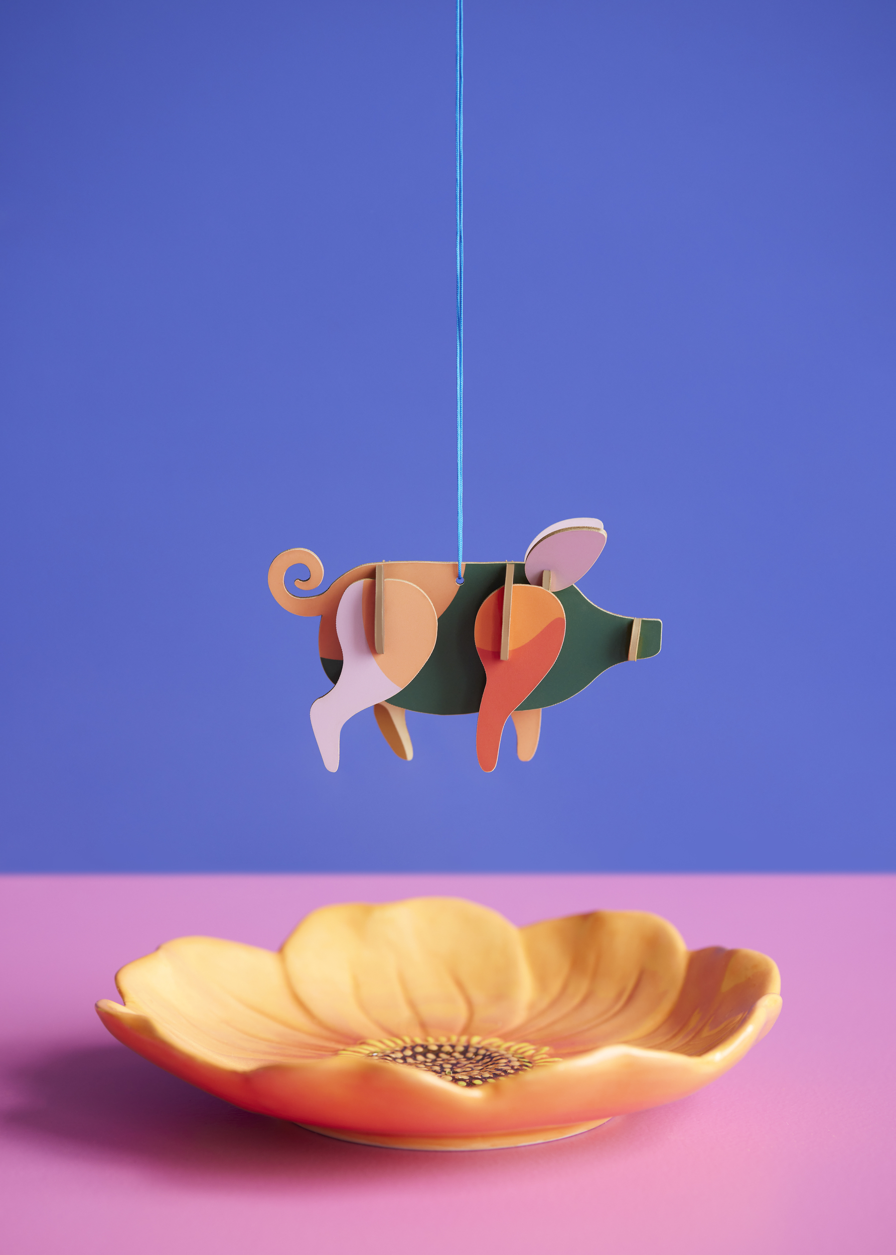 PIG_AMBIENT-PORTRAIT-cleaned