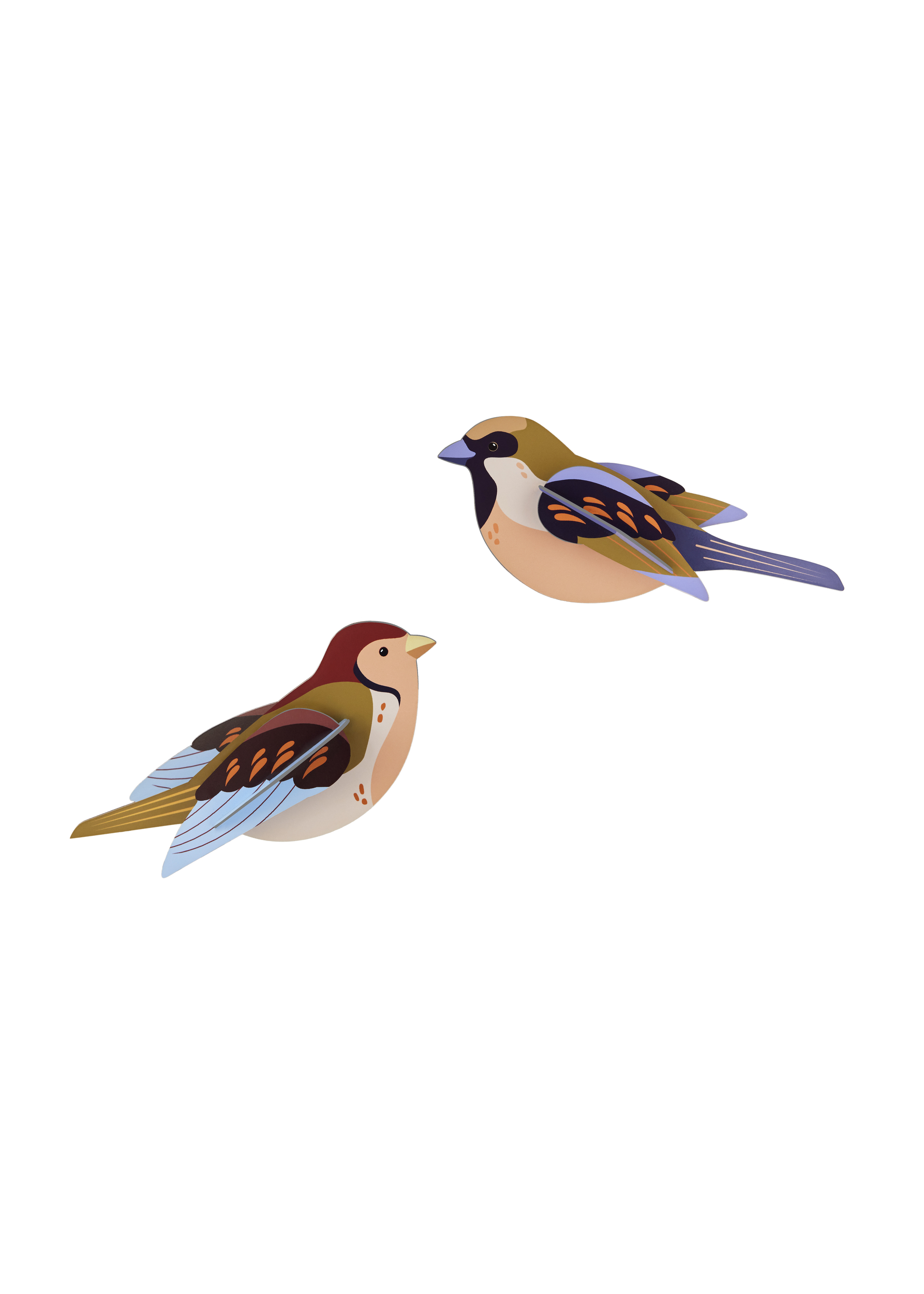 SPARROWS_PRODUCT-PICTURE