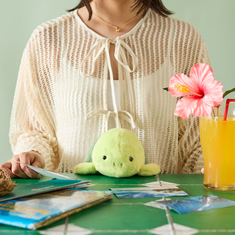 tortue-posture-pal-1-pcs (1)
