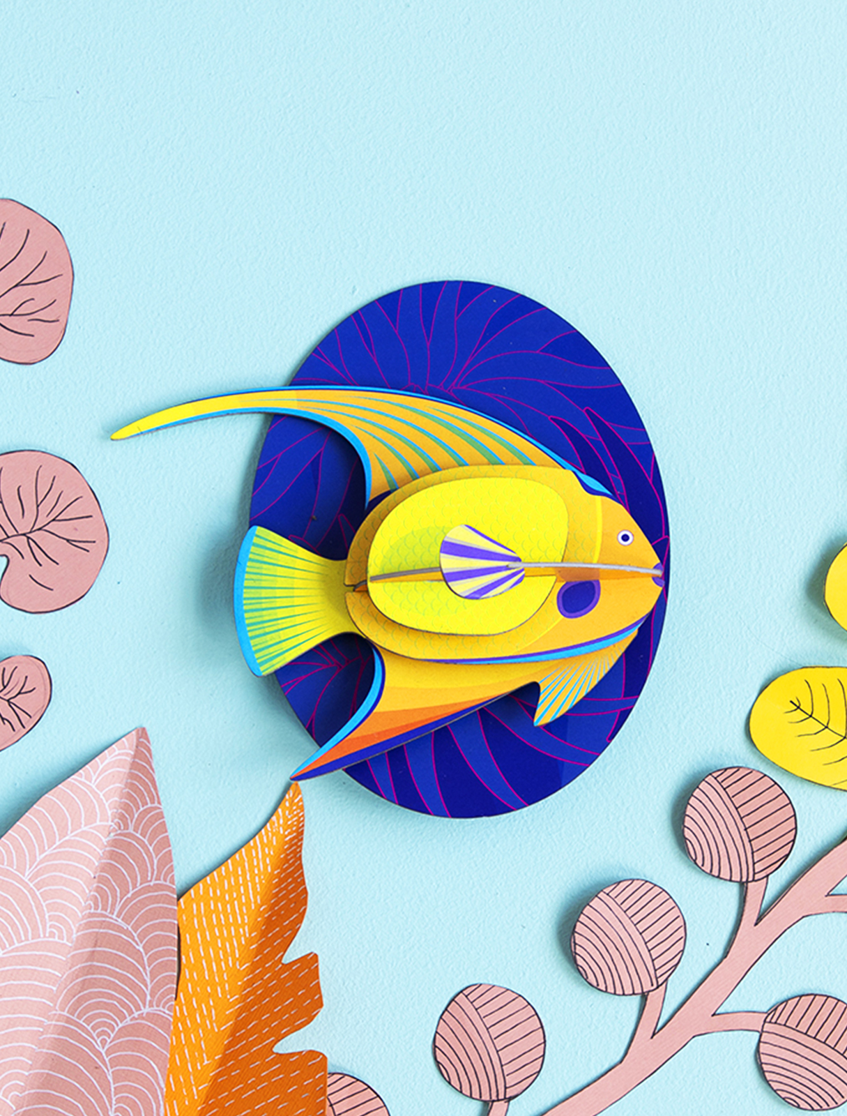 big-fishes-yellow-angelfish1