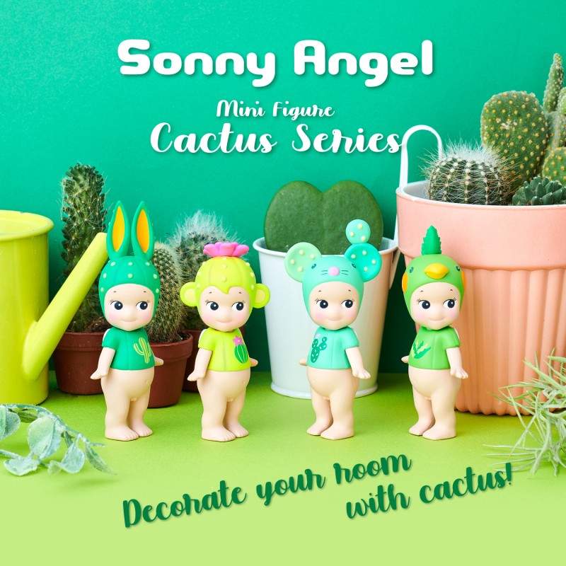 collection-complete-sa-cactus-boite-de-12-pcs (1)