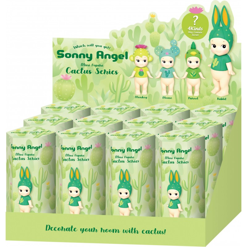 collection-complete-sa-cactus-boite-de-12-pcs