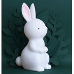 nlrawh35-lr-6-night-light-bunny