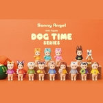 dog carré sonny angel valenciennes
