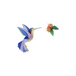 HUMMINGBIRD_PRODUCT-PICTURE